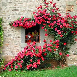 Alloggio per agriturismo Ai Frati, Pieve Fosciana